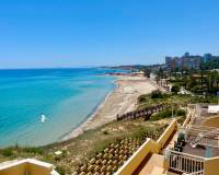 Lang tid utleie - Apartment/Flat - Alicante - Campoamor