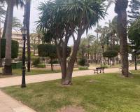 Lange tijd verhuur - Apartment/Flat - Torrevieja - Playa de los Locos