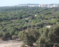 Long time Rental - Apartment/Flat - Guardamar del Segura