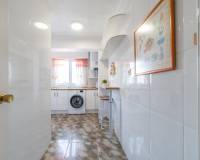 Uzun süre kiralama - Apartman dairesi - Torrevieja - Paseo maritimo