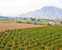 Wederverkoop - Plot - Callosa De Segura