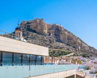 Alquiler a largo plazo - Apartamento / Piso - Alicante