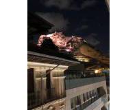 Alquiler a largo plazo - Apartamento / Piso - Alicante