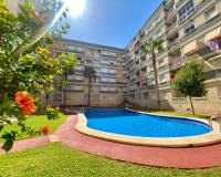 Alquiler a largo plazo - Apartamento / Piso - Torrevieja - Habaneras