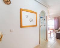 Alquiler a largo plazo - Apartamento / Piso - Torrevieja - La Mata