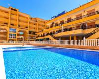 Alquiler a largo plazo - Apartamento / Piso - Torrevieja - Los Europeos