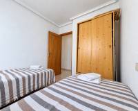 Alquiler a largo plazo - Apartamento / Piso - Torrevieja - Playa de Los Locos-Curva del Palangre