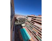 Alquiler a largo plazo - Apartamento / Piso - Torrevieja