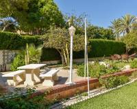 Alquiler a largo plazo - Villa - Orihuela Costa - Cabo Roig