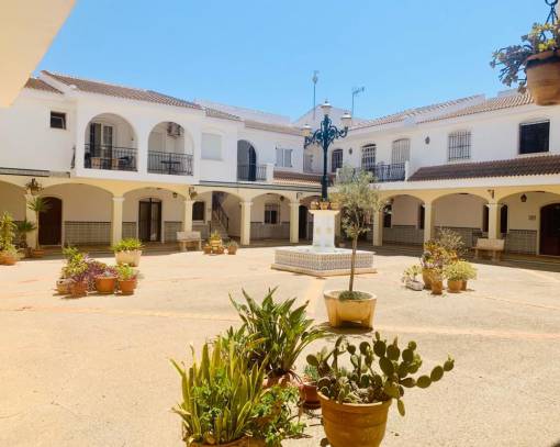 Apartamento / Piso - Alquiler a corto plazo - La Zenia - La Zenia