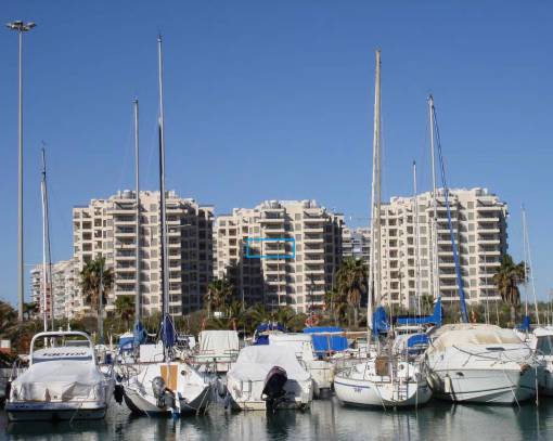 Apartamento / Piso - Alquiler a largo plazo - Guardamar del Segura - Guardamar del Segura