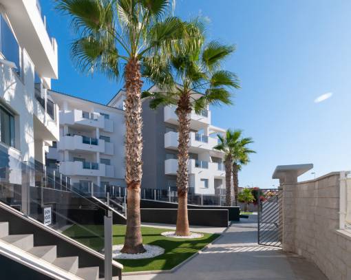 Apartamento / Piso - Alquiler a largo plazo - Orihuela Costa - RENT-517L