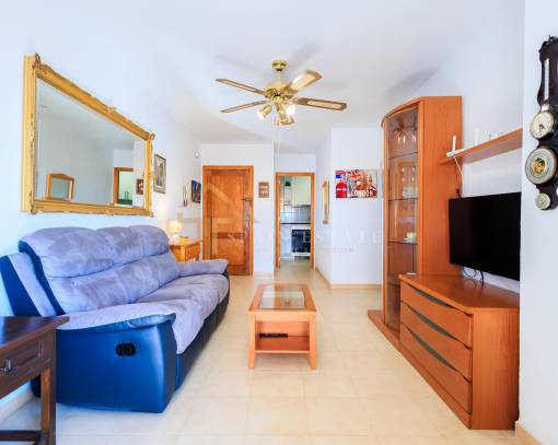 Apartamento / Piso - Alquiler a largo plazo - Torrevieja - Acequion