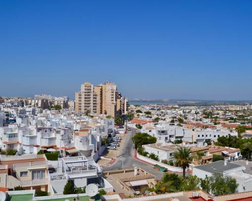 Apartamento / Piso - Alquiler a largo plazo - Torrevieja - Cabo cervera