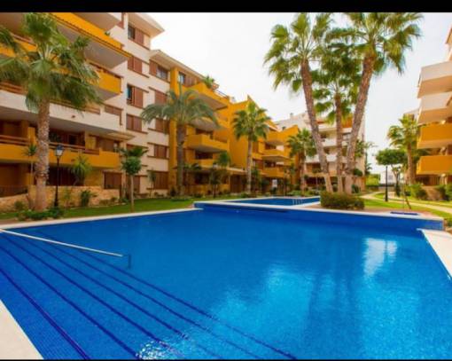 Apartamento / Piso - Alquiler a largo plazo - Torrevieja - España