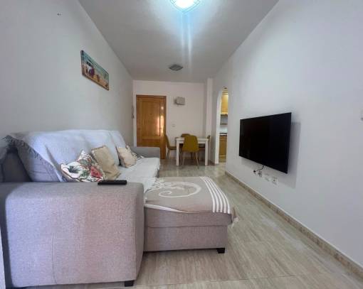 Apartamento / Piso - Alquiler a largo plazo - Torrevieja - España