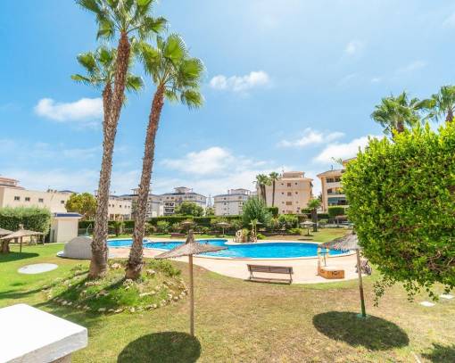 Apartamento / Piso - Alquiler a largo plazo - Torrevieja - La Mata