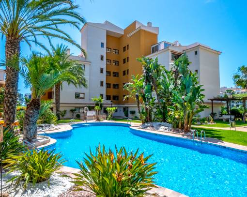 Apartamento / Piso - Reventa - Punta Prima - SEB-92532