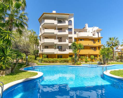 Apartman dairesi - tekrar satış - Punta Prima - Panorama Park
