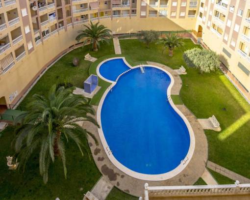 Apartman dairesi - tekrar satış - Torrevieja - Parque las naciones