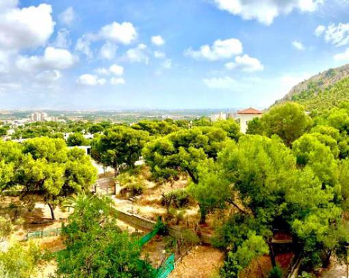 Apartman dairesi - Uzun süre kiralama - Alicante - Alicante