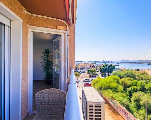 Apartment/Flat - Kurzzeitvermietung - Torrevieja - rent-815o