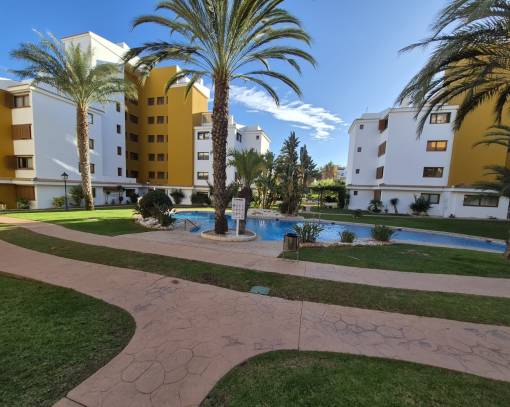 Apartment/Flat - Lange tijd verhuur - Punta Prima - Punta Prima