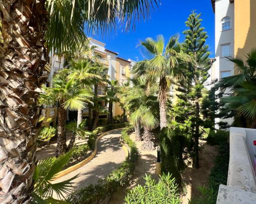Apartment/Flat - Langzeitvermietung - Torrevieja - Torrevieja