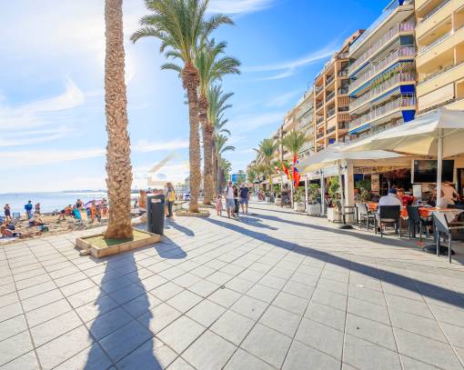 Apartment/Flat - Long time Rental - Torrevieja Centro - Torrevieja