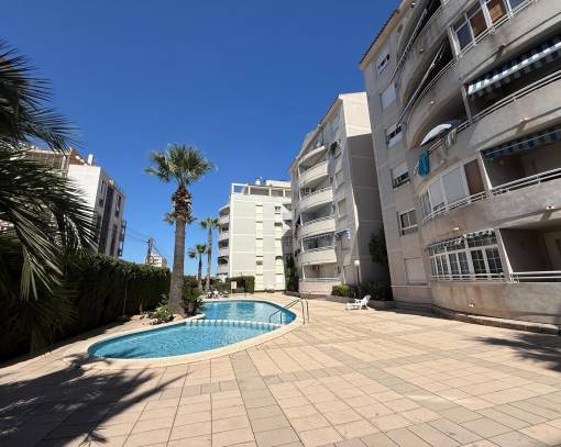 Apartment / Flat - Long time Rental - Torrevieja Centro - Torrevieja