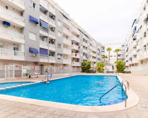 Apartment / Flat - Long time Rental - Torrevieja - Centro