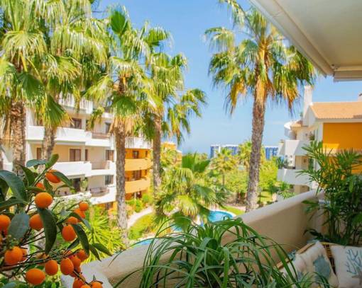 Apartment / Flat - Resale - Torrevieja - SEJ-98809