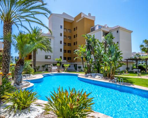 Apartment/Flat - Sale - Punta Prima - SEB-47212