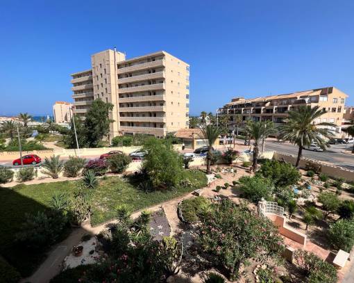 Apartment/Flat - Short time rental - La Mata - Playa la Mata