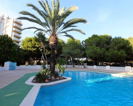 Apartment/Flat - Videresalg - Orihuela Costa - SEJ-80439