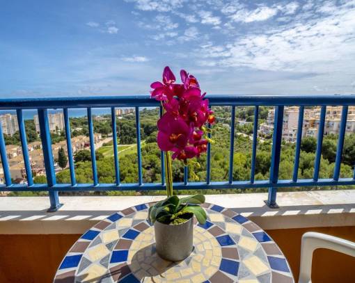 Apartment/Flat - Videresalg - Orihuela Costa - SEJ-90206