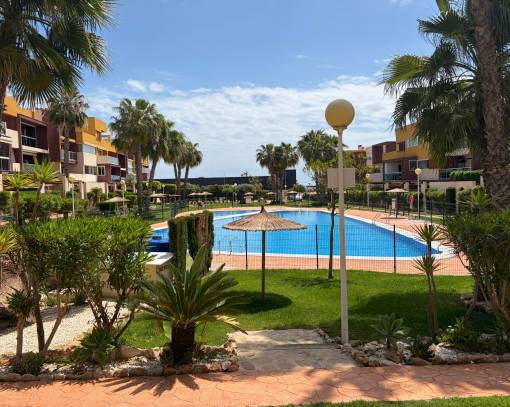 Apartment/Flat - Videresalg - Orihuela - SE00-524V
