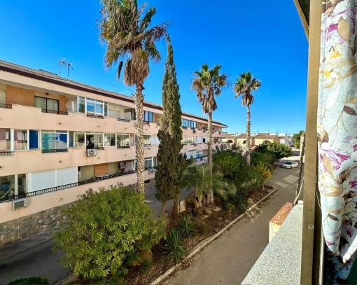 Apartment/Flat - Wederverkoop - Pilar de la Horadada - SEJ-63739