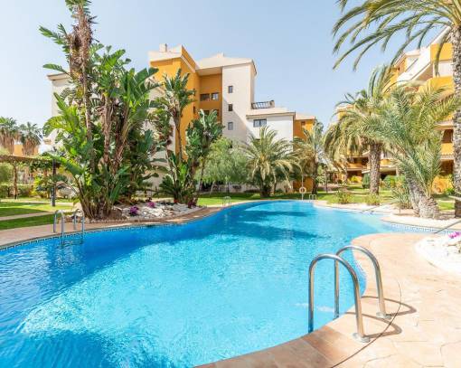 Apartment/Flat - Wederverkoop - Torrevieja - SEF-72224