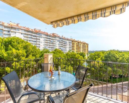 Apartment/Flat - Wiederverkauf - Orihuela Costa - SEJ-61339