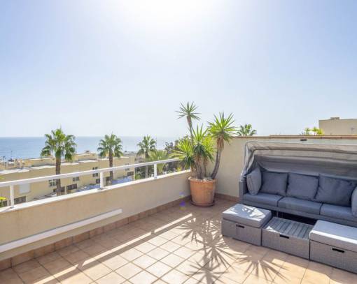 Apartment/Flat - Wiederverkauf - Orihuela Costa - SEJ-72190