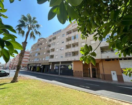 Apartment/Flat - Wiederverkauf - Torrevieja Centro - SE00-528V