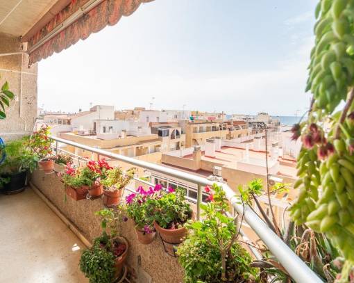 Apartment/Flat - Wiederverkauf - Torrevieja - Curva del Palangre