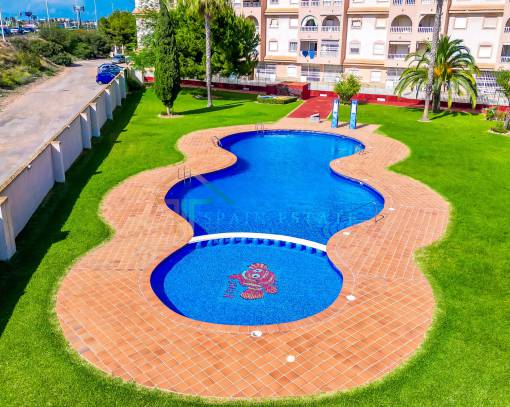 Apartment/Flat - Wiederverkauf - Torrevieja - Playa del Acequion