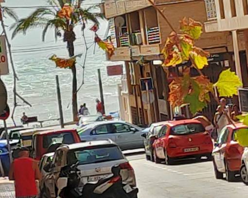 Apartment/Flat - Wiederverkauf - Torrevieja - SE00-177O