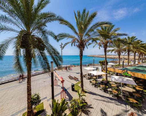 Apartment/Flat - Wiederverkauf - Torrevieja - SES-47015