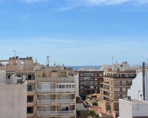 Apartment/Flat - Wiederverkauf - Torrevieja - SES-88779
