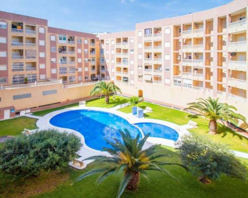 Apartment/Flat - Wiederverkauf - Torrevieja - Torrevieja