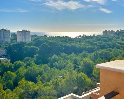 Casa Adosada - Reventa - Orihuela Costa - SEJ-81515