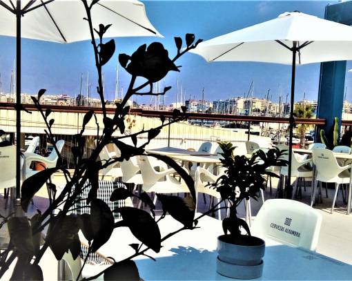 İş Yerleri - Uzun süre kiralama - Torrevieja - LOC-03